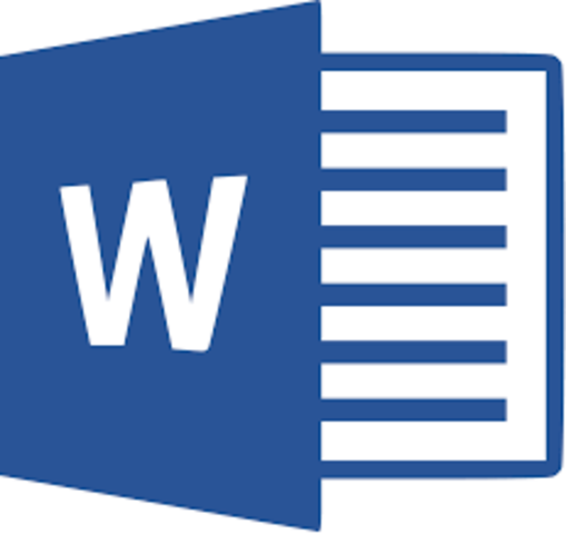 MICROSOFT WORD