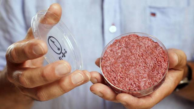 Hamburguesa Sintética