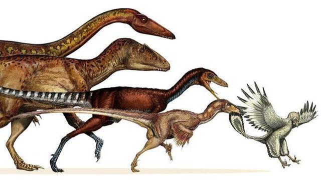 Dinosaurios y Aves