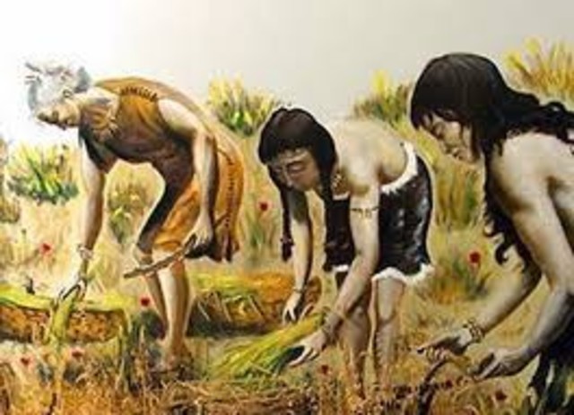 La prehistoria, nacimiento de la Agricultura