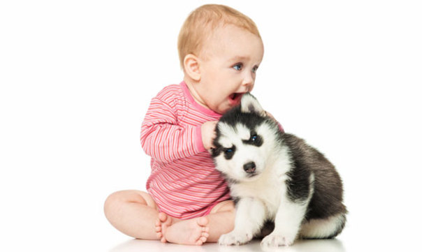 Nace mi prima pequeña