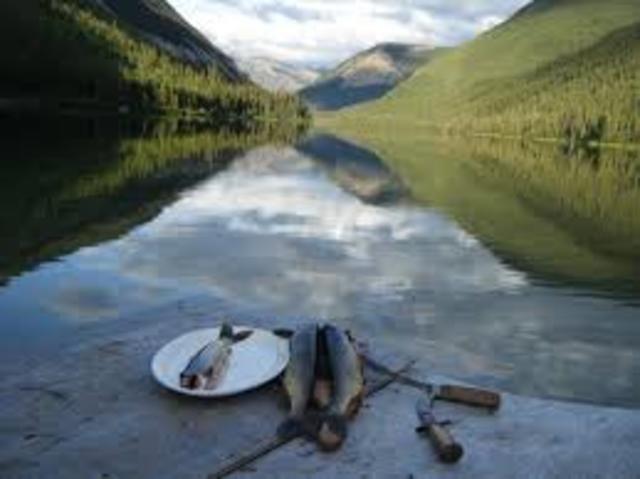 3a reunión de la conferencia de las partes contratantes en canada