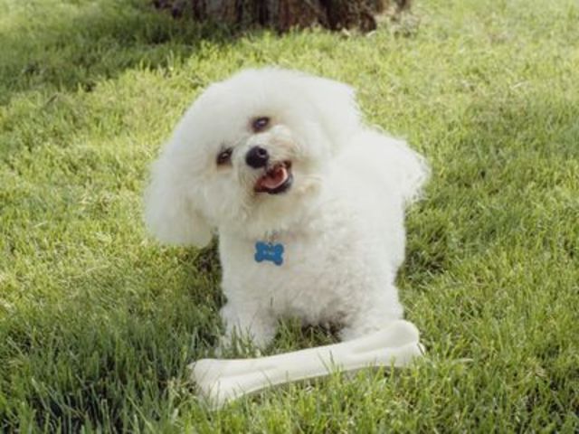 Saddest Moment as a Youngster