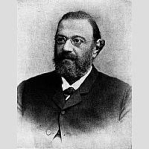 Willy Kühne. Enzima