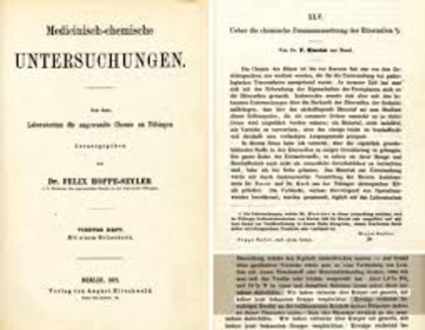 Laboratorio de Hoppe-Seyler