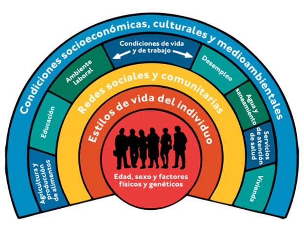La salud y sus determinantes sociales