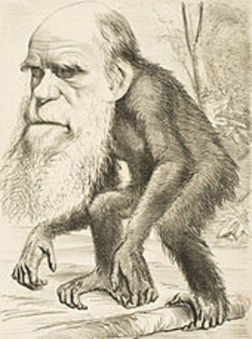 Caricature Depicting Darwin as the father of evolutionary theory