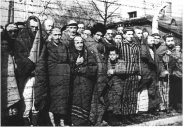 Deportazioni ad Auschwitz.