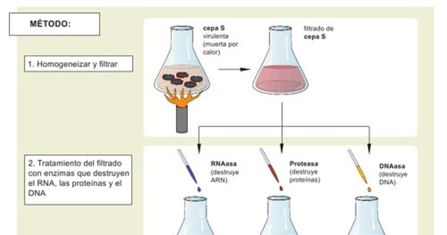 Avery, McLeod y McCarthy