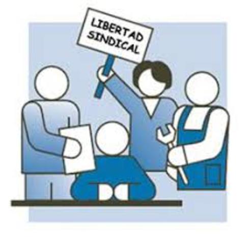 Proyecto de Cazot pasa a ser ley