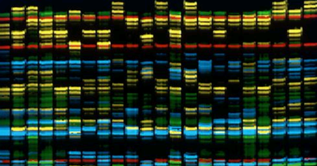 Publicación del mapa del genoma humano