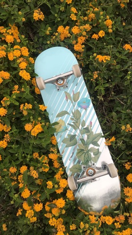 Got My First Skate Board