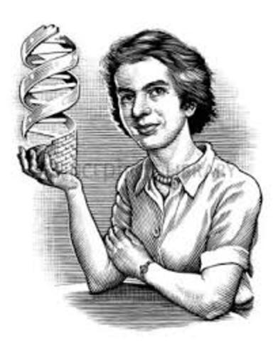 Rosalind Franklin.