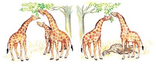 Origen de las Especies