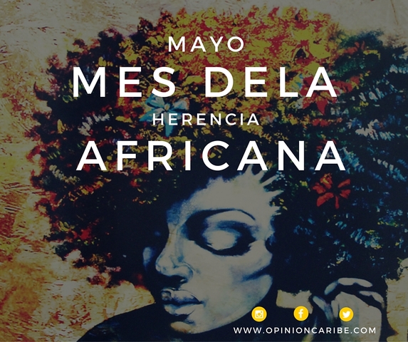 Mes de la herencia africana - Resolución 0740