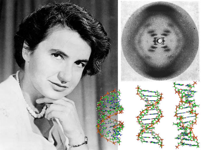 Rosalind Franklin