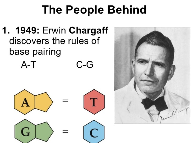 Erwin Chargaff