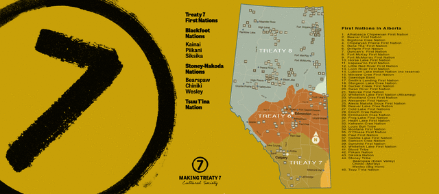 Treaty 7