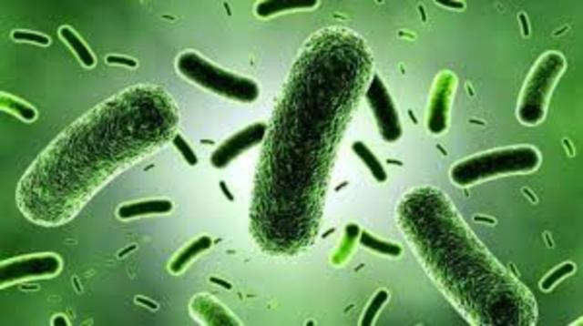 Obtención de microbios a través de ingeniería genética