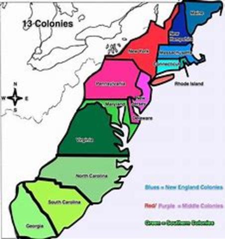All 13 colonies were formed