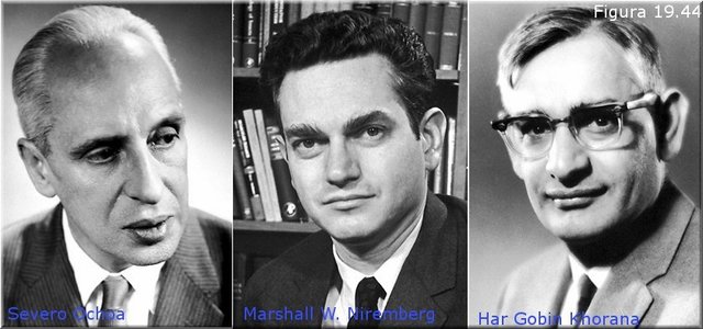 Nirenberg, Ochoa y Khorana