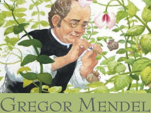 Leyes de Herencia de Mendel