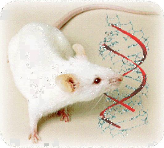 Tres grandes avances