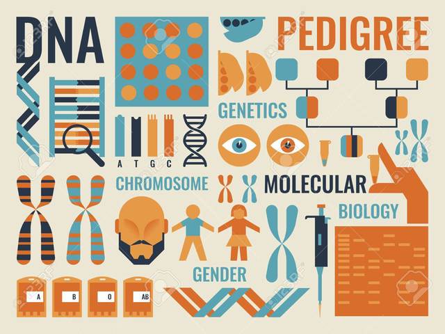 William Thomas Astbury y Florence Bell