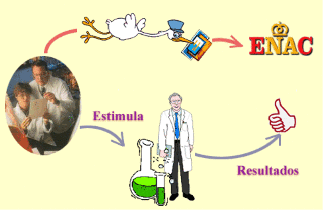 Evaluación Externa de Calidad