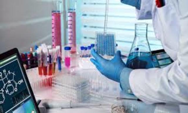 El ciclo de Especialización de I.Q