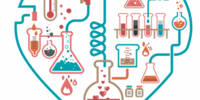 Reforma curricular de I.Q