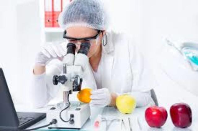 Ingeniería en Alimentos