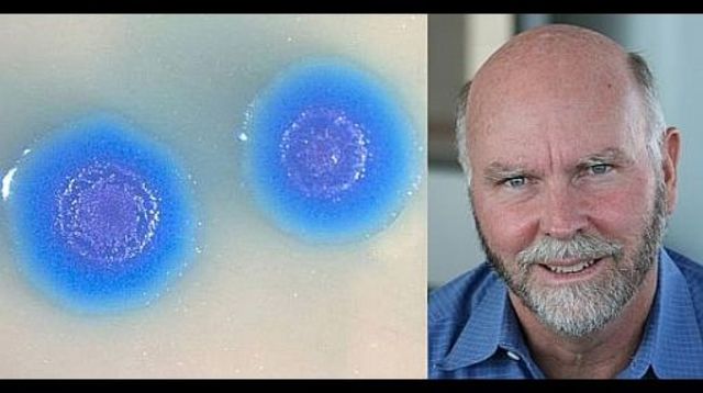 Craig Venter- Primer genoma Artificial