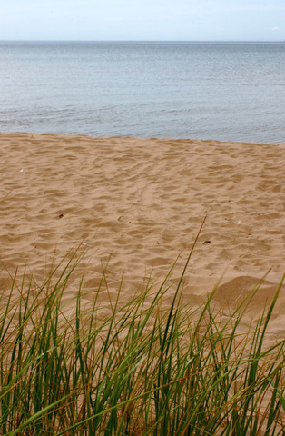 Trip to the River-In the "Good Times"