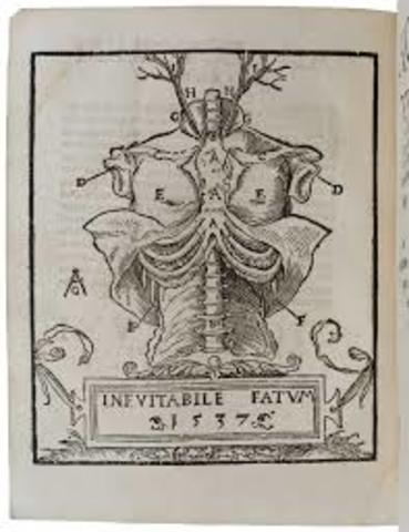 ANATHOMIA CORPORIS HUMANI