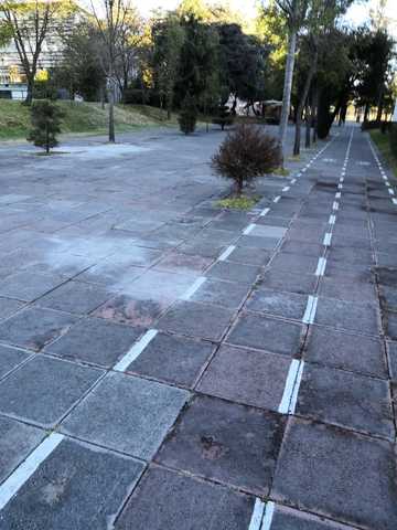 32.	Usa la biciclet por eficiencia y rapidez