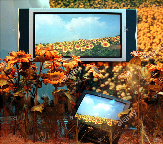 Segunda generación de televisores planos