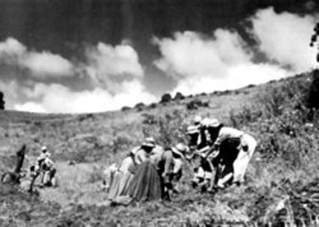 desarrollo de   tendencia  industriales y agroexportadoras