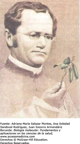 Leyes de la herencia