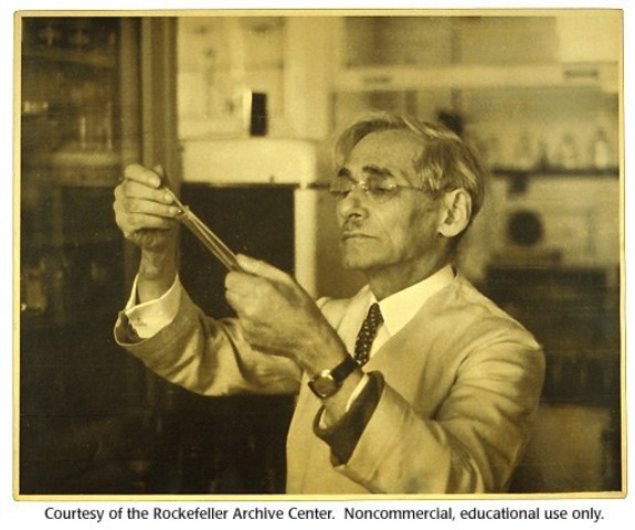 Azúcar y bases nitrogenadas