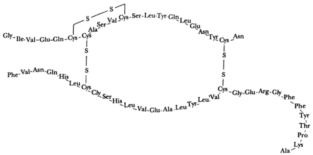 Se describe la secuencia aminoácido de la insulina.