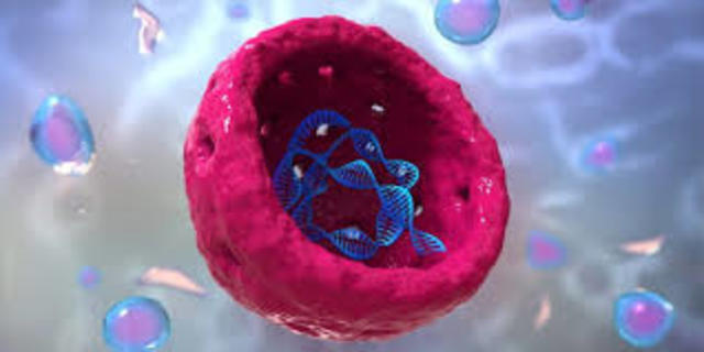 Nucleina pasa a llamarse Acidos Nucleicos