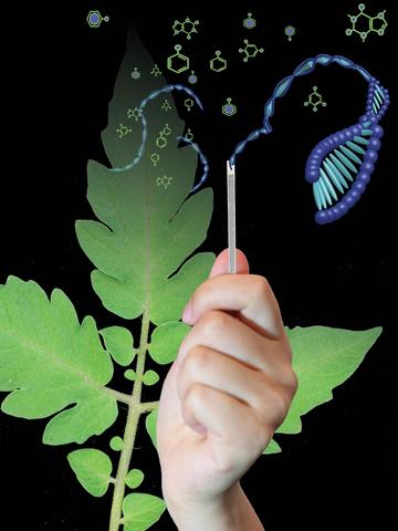 Descubrimiento de ADN en plantas