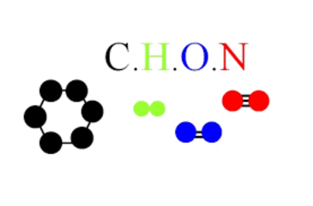 CARBONO, HIDROGENO, OXÍGENO, NITRÓGENO. Fueron los componentes primarios de la comida, desarrollaron métodos para medir su proporción.