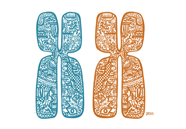 Teoría cromosómica de la herencia