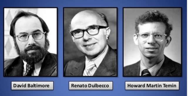 Howard Martin Temin, Renato Dulbecco y David Baltimore