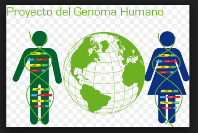 Proyecto del genoma humano