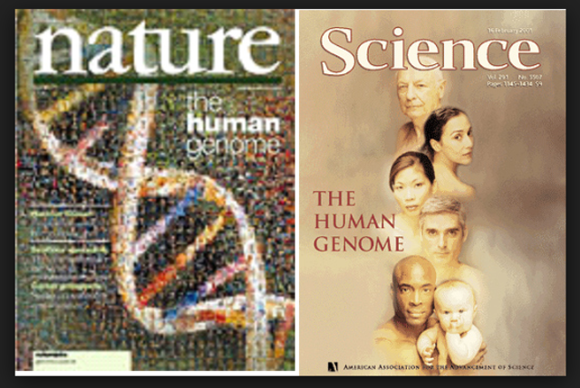 Presentación del genoma humano