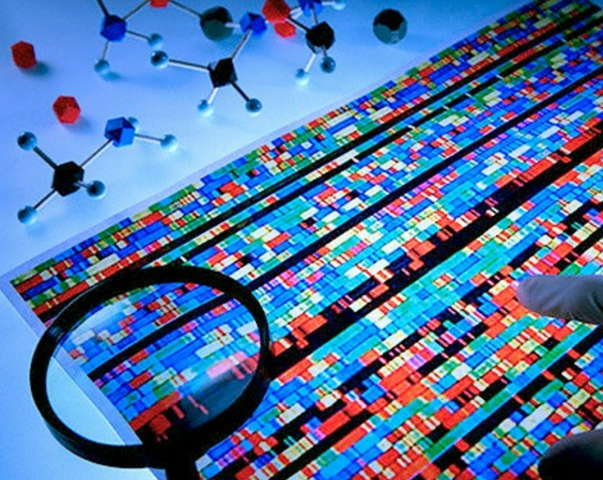 La técnica de edición de genes CRISPR