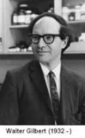 Allan Maxam y Walter Gilbert